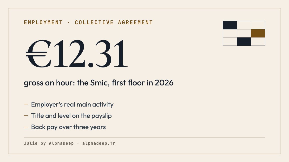 Summary card: French collective agreement; the one for the employer’s real main activity; the APE code is only a clue; title and level on the payslip; pay at least the grid minimum and the Smic, €12.31 an hour in 2026; back pay over three years.