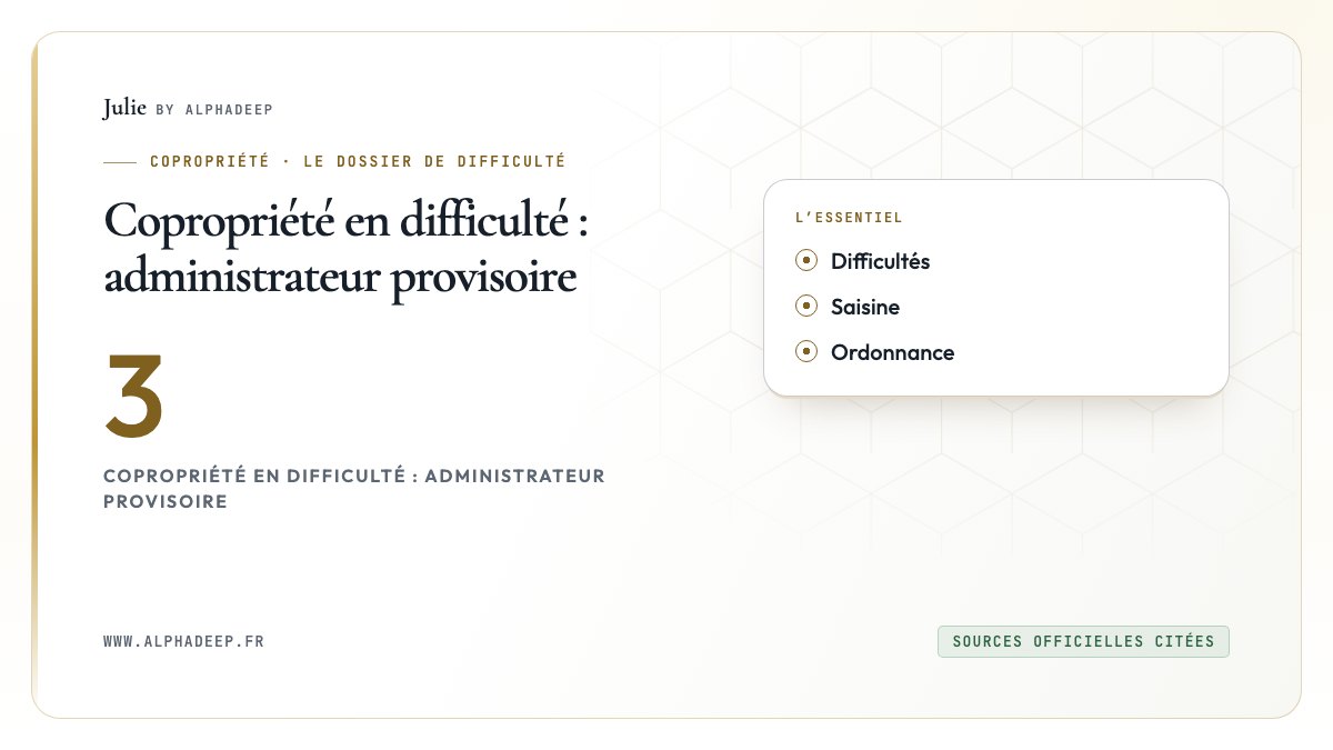 Copropriété en difficulté : administrateur provisoire: Difficultés, Saisine, Ordonnance