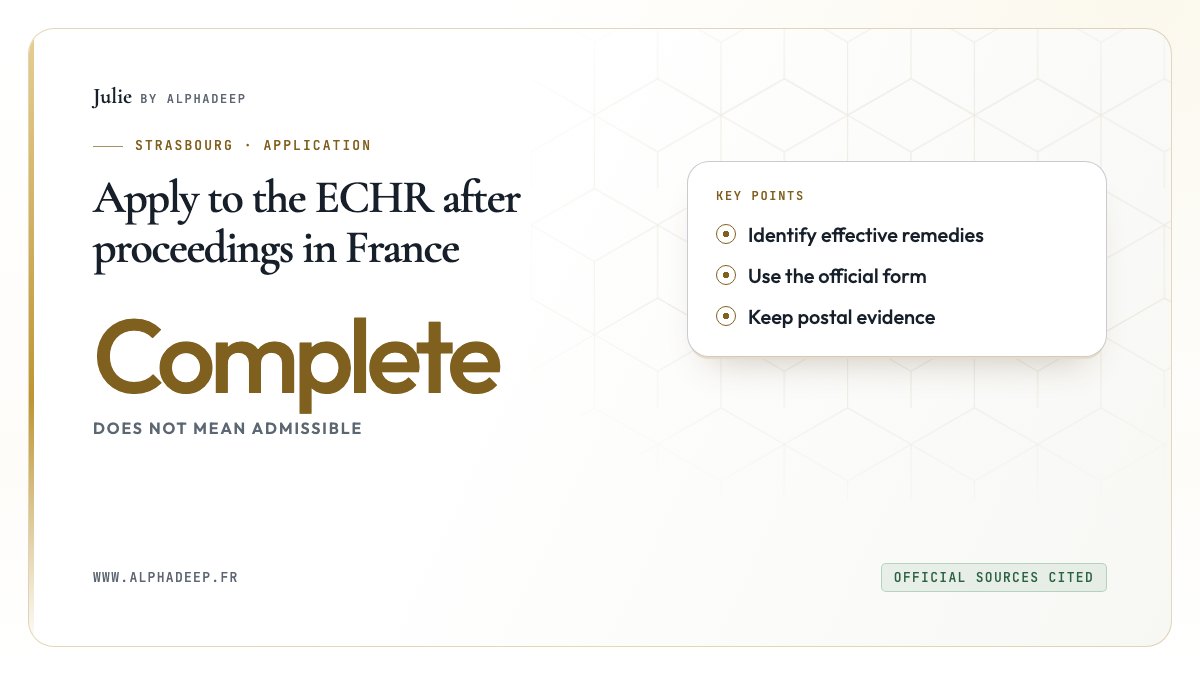 ECHR application: complaints, remedies, official form and attachments.