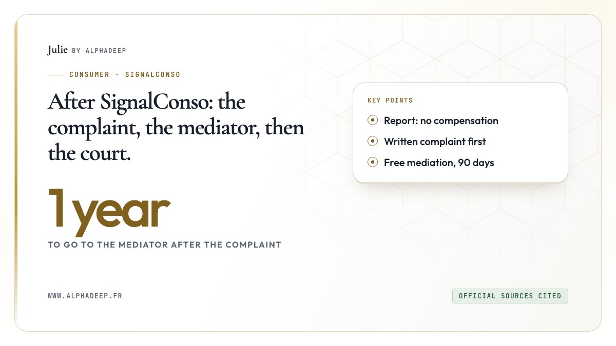 Diagram: report, written complaint, mediator within a year, then court.