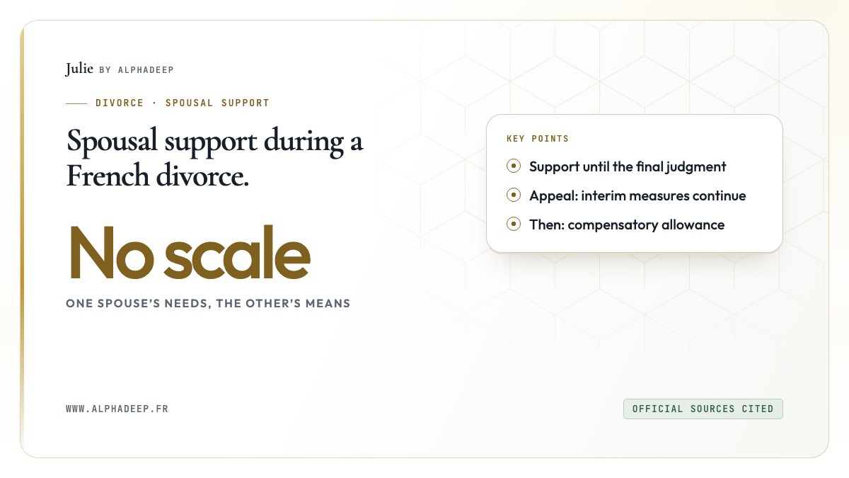 Summary card: no scale, support until the final judgment, then a compensatory allowance.