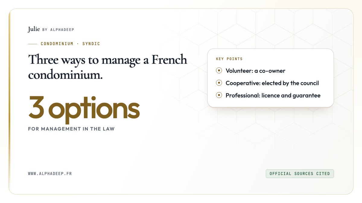 Diagram: professional, volunteer or cooperative syndic, with their conditions and appointment.