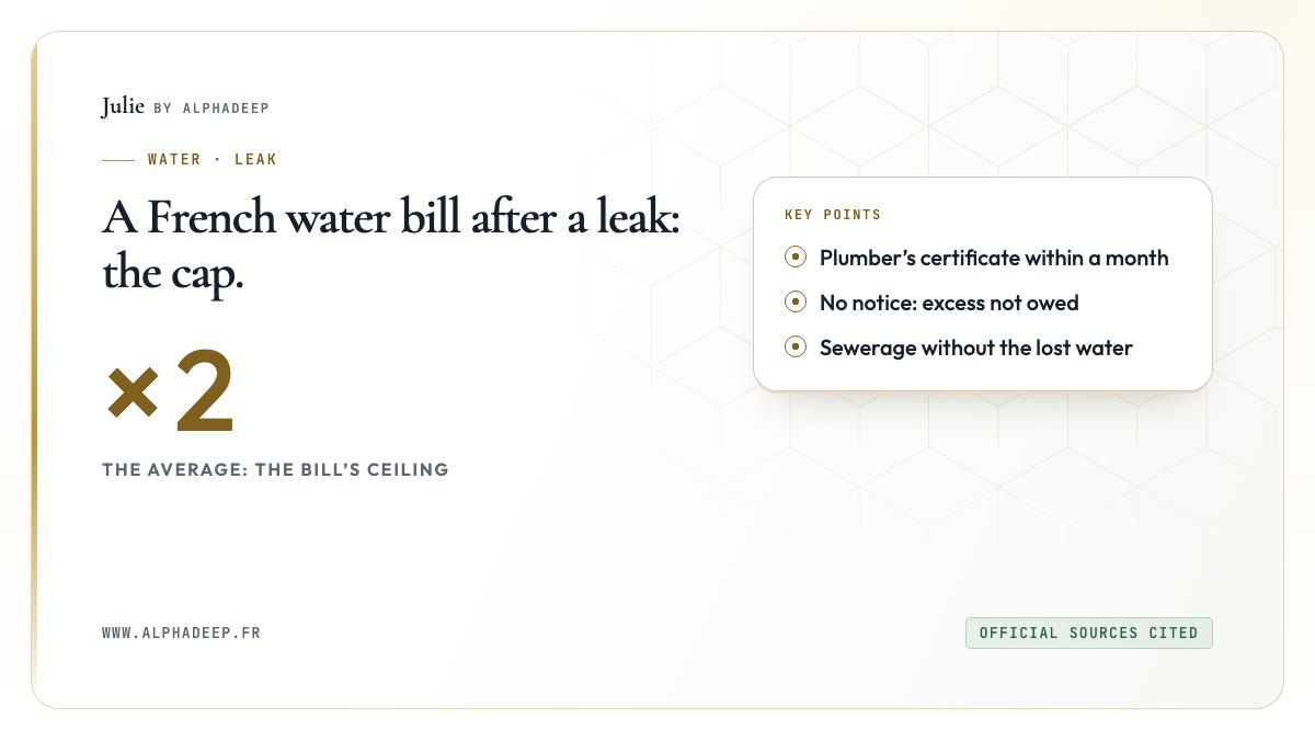 Summary card: capped at twice the average, plumber’s certificate within a month, sewerage without the leak.