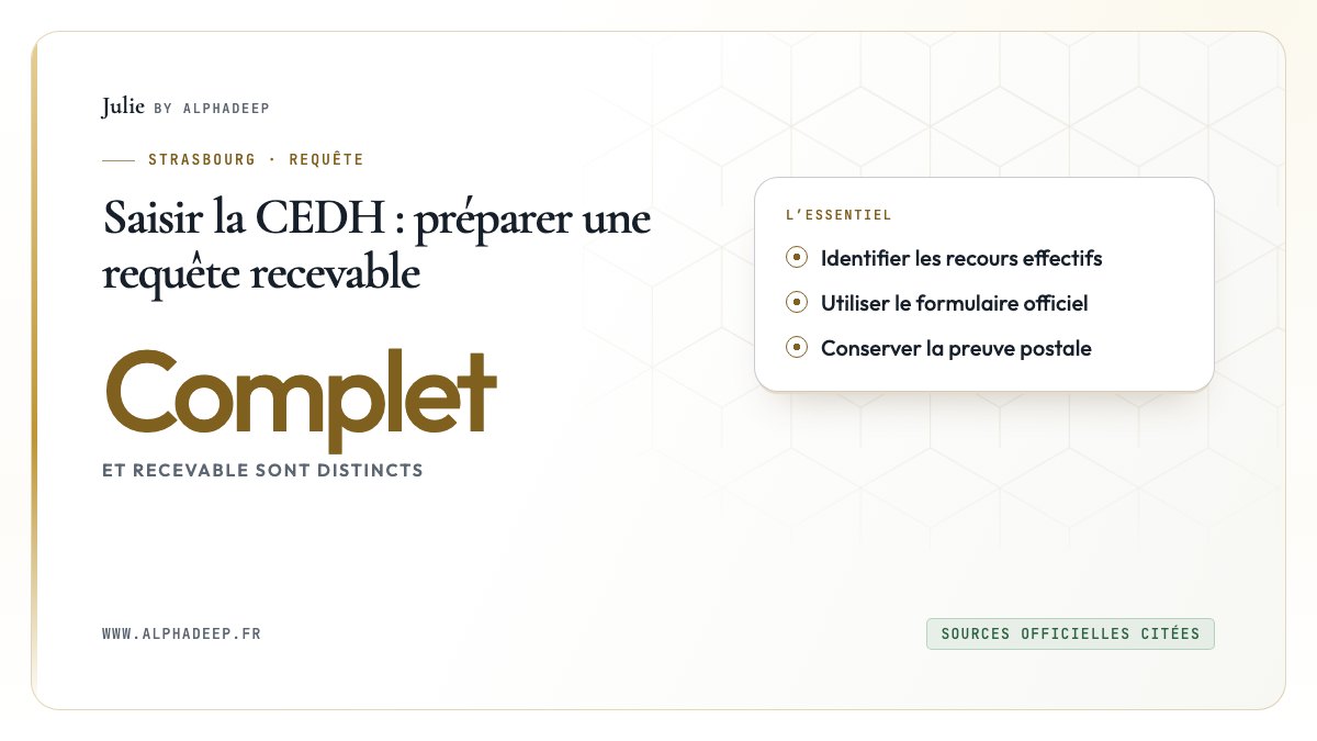 Requête CEDH : griefs, recours, formulaire officiel et annexes.