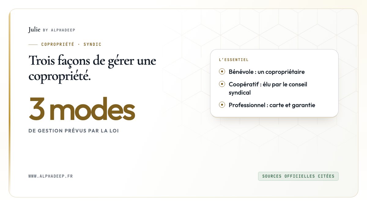 Schéma : syndic professionnel, bénévole ou coopératif, avec leurs conditions et leur désignation.
